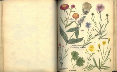 obr-1-a-1928-batos-dar-studie (2).jpg obr-1-a-1928-batos-dar-studie (2).jpg