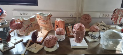 Obr. 2 Anatomická knihovna.jpg Obr. 2 Anatomická knihovna.jpg